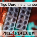 Tige Dure Instantanée 31